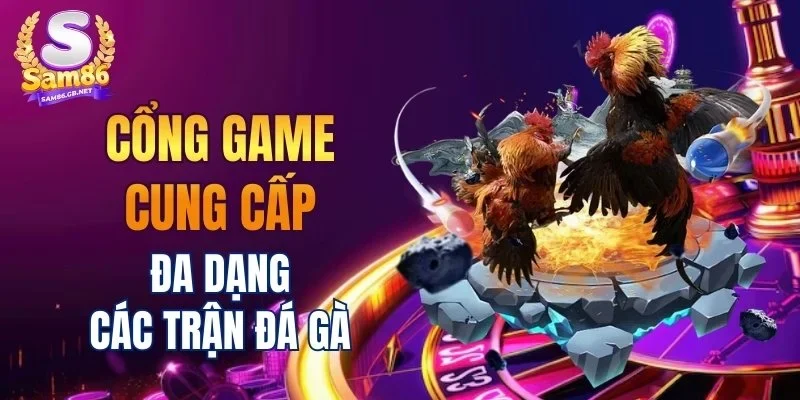 Cổng game cung cấp đa dạng các trận đá gà